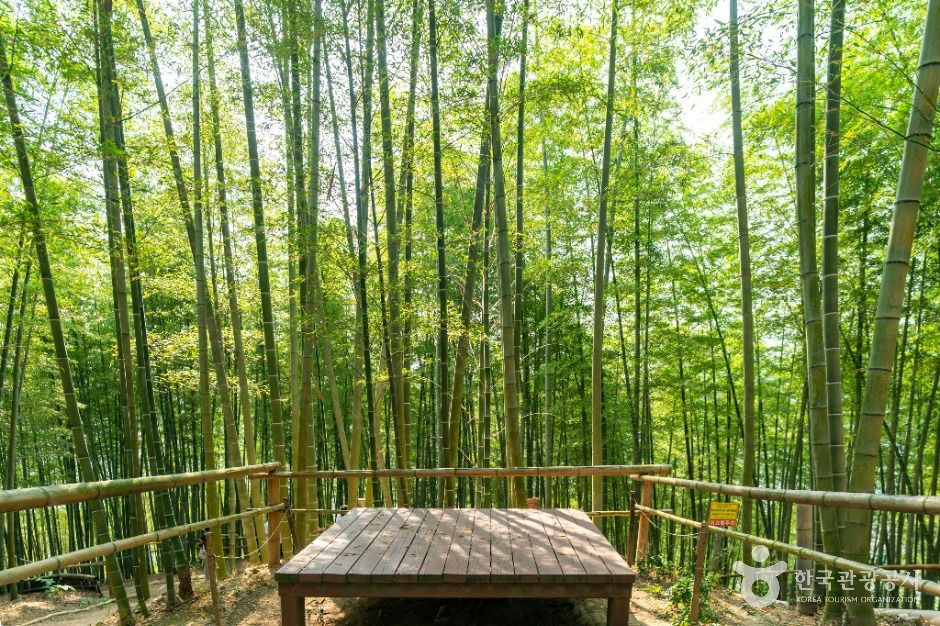 거제맹종죽테마공원 여행 추천 - 로드트립