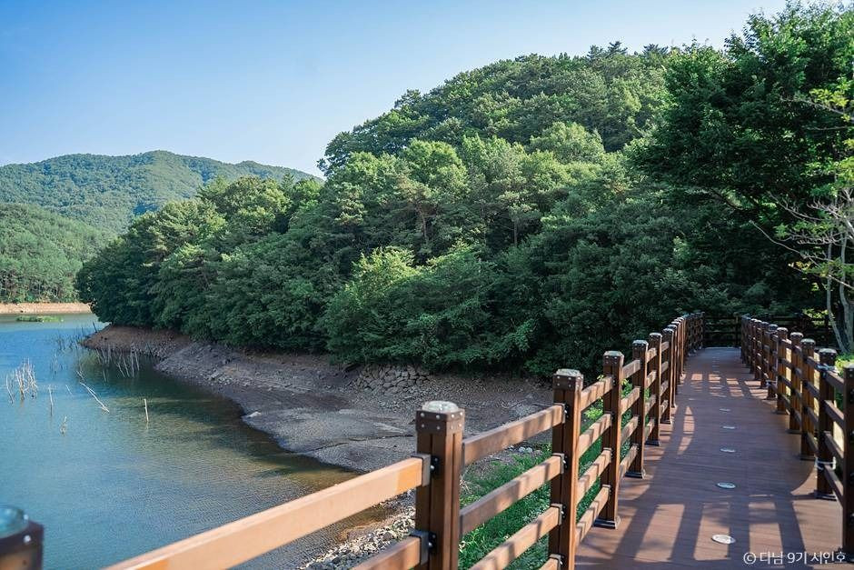 제암산자연휴양림 여행 추천 - 로드트립