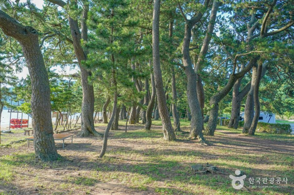 나로우주해수욕장 여행 추천 - 로드트립