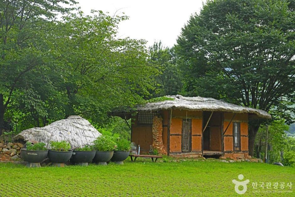 봉조농촌체험학교 여행 추천 - 로드트립