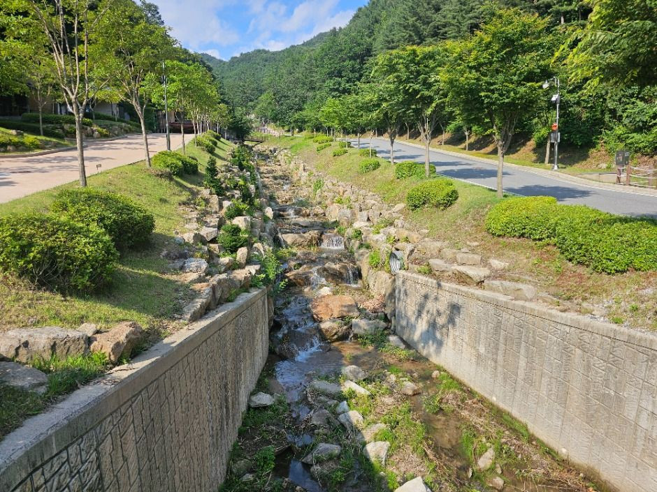 문수산자연휴양림 여행 추천 - 로드트립
