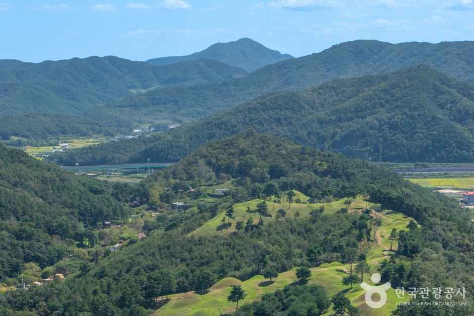 고령 지산동 고분군 여행 추천 - 로드트립