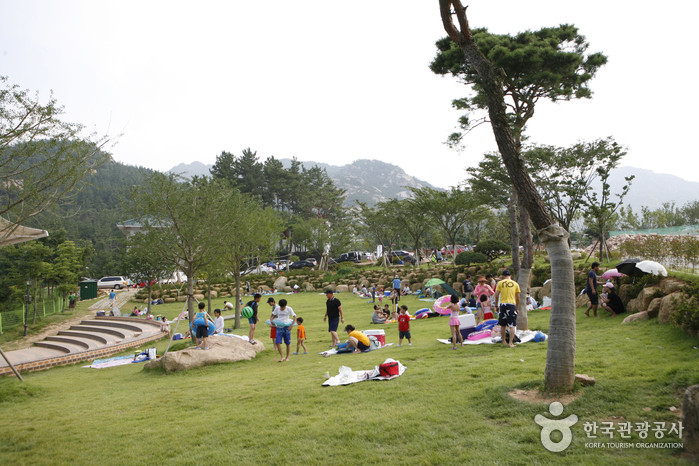 월출산 기찬랜드 여행 추천 - 로드트립