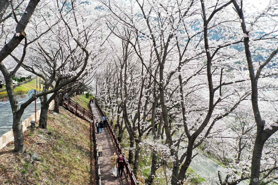 안태공원 여행 추천 - 로드트립
