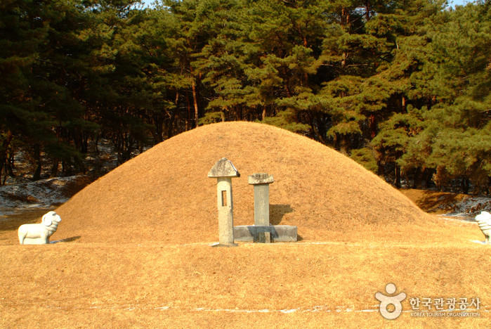 전사벌왕릉 여행 추천 - 로드트립