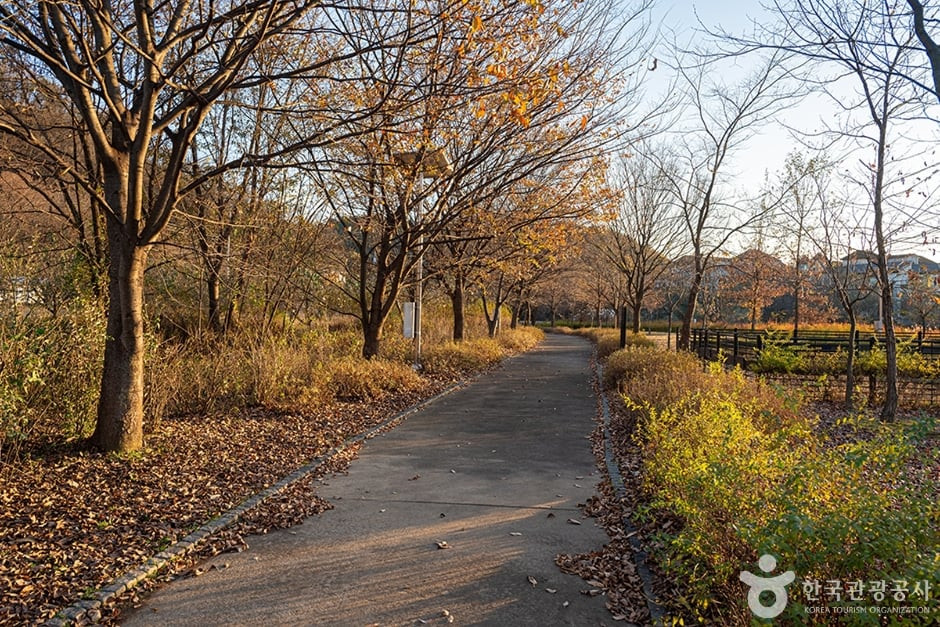 수풀로 삼회리 여행 추천 - 로드트립