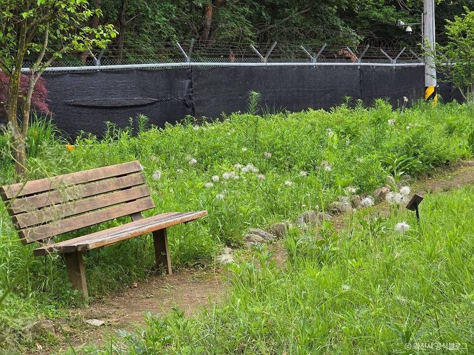 과천야생화자연학습장 여행 추천 - 로드트립