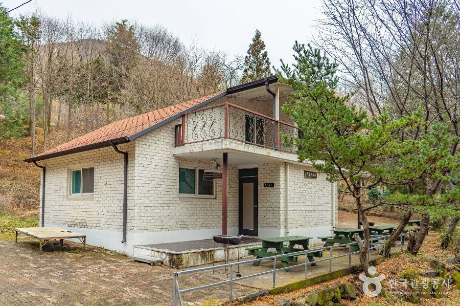 무등산편백자연휴양림 여행 추천 - 로드트립