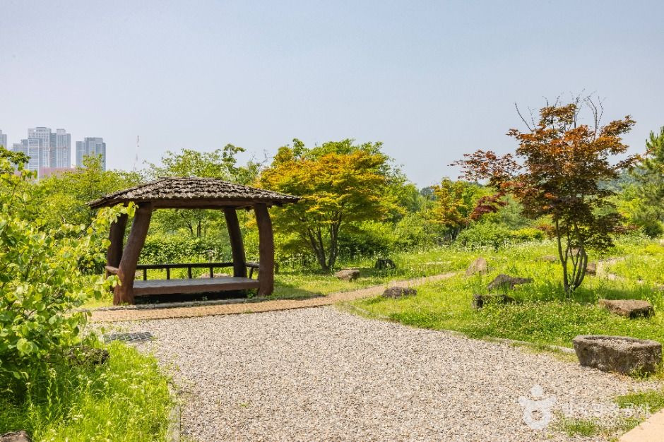 연희자연마당 여행 추천 - 로드트립