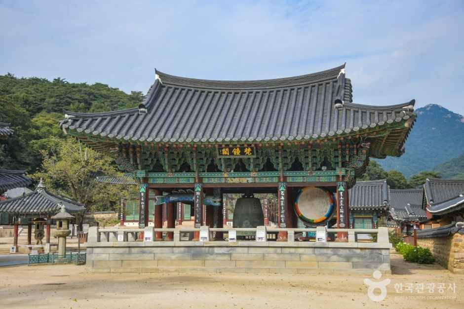 보은 법주사 [유네스코 세계유산] 여행 추천 - 로드트립