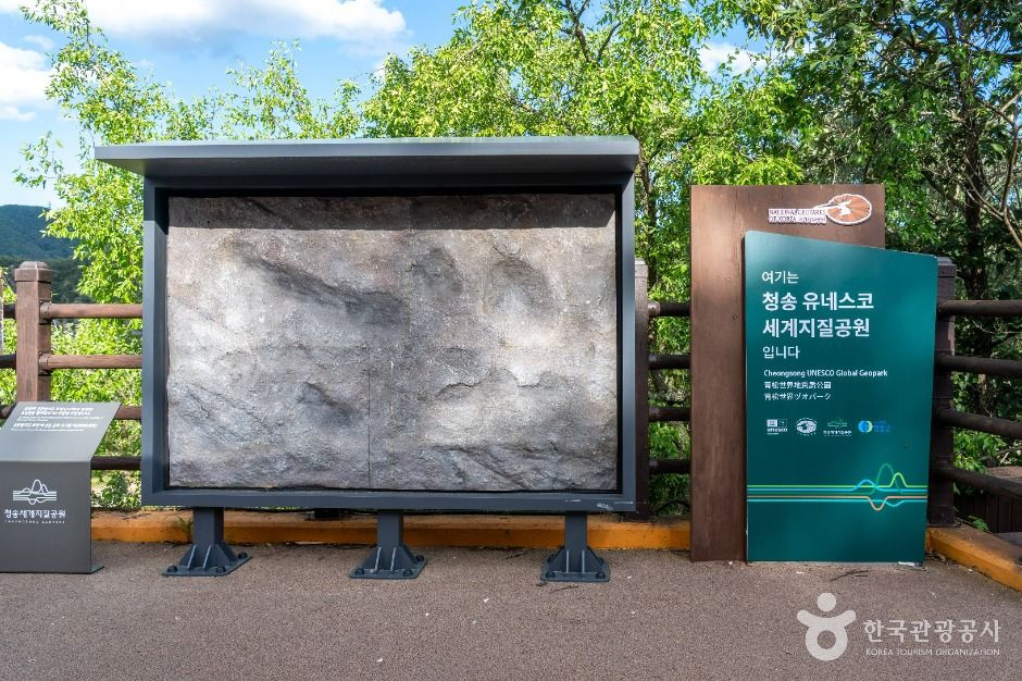 신성리 공룡발자국 여행 추천 - 로드트립