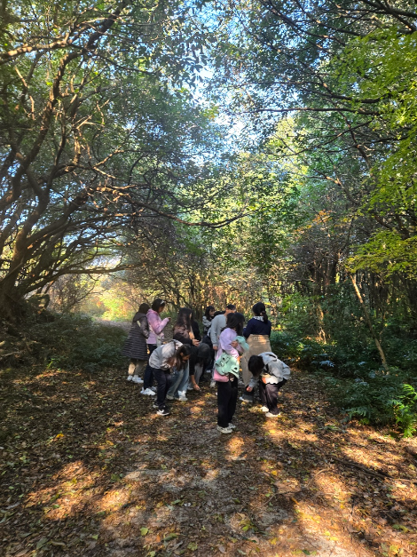 청수곶자왈 여행 추천 - 로드트립