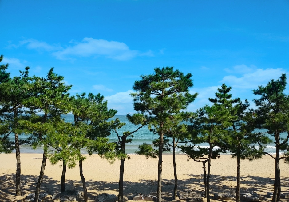진하해수욕장 여행 추천 - 로드트립