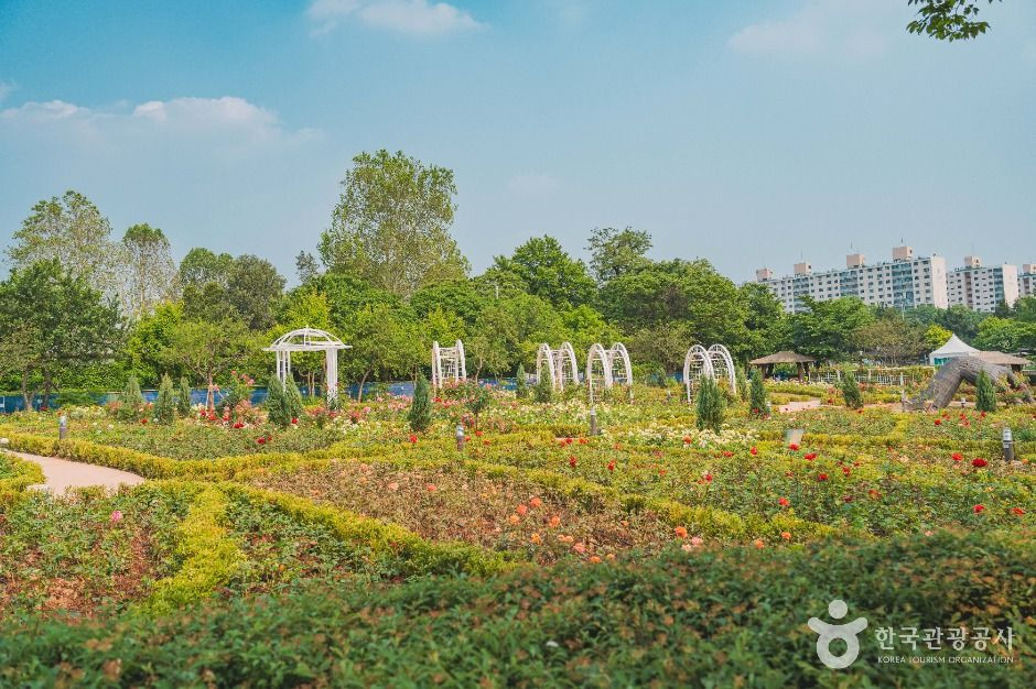 용산가족공원 여행 추천 - 로드트립