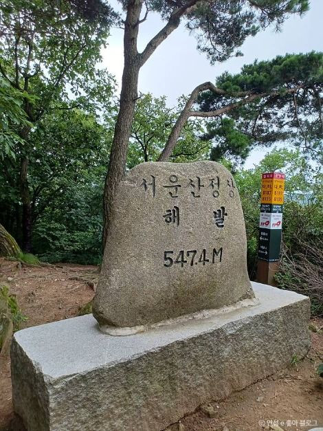 서운산 여행 추천 - 로드트립