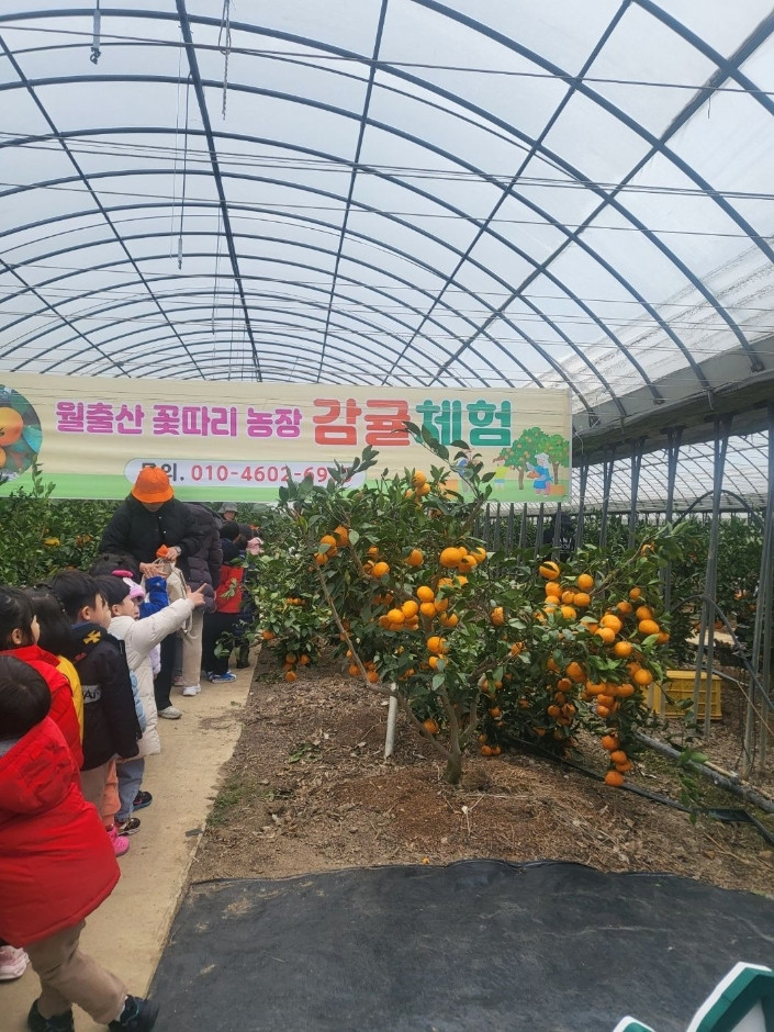 농업회사법인주식회사 월출산꽃따리농장 여행 추천 - 로드트립
