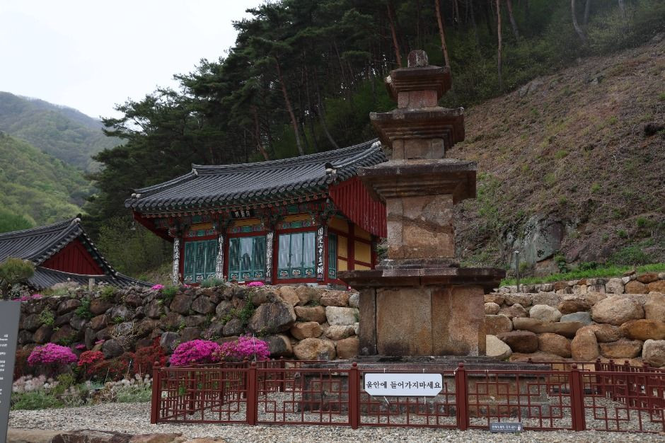 덕산사(산청) 여행 추천 - 로드트립