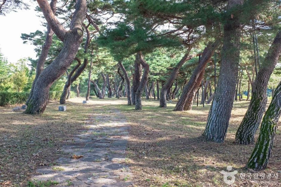 백운정 여행 추천 - 로드트립