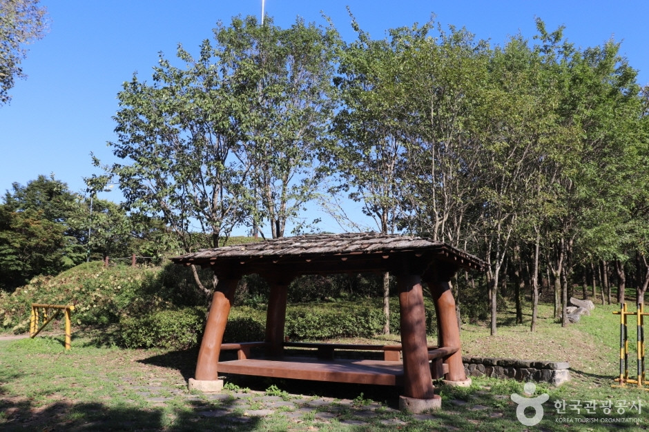 왕버드나무군락지 여행 추천 - 로드트립
