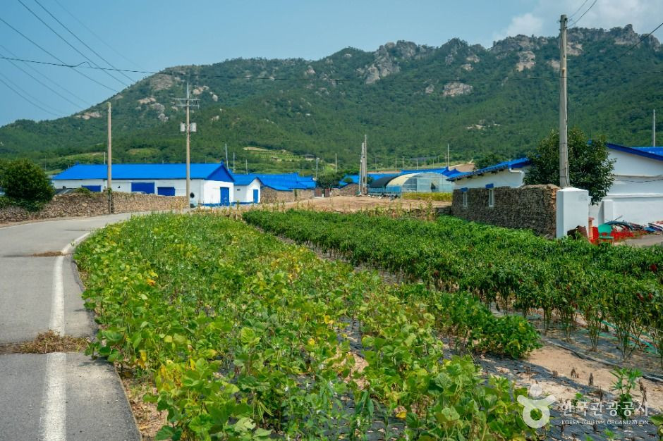 비금도 내촌마을 옛 담장 여행 추천 - 로드트립