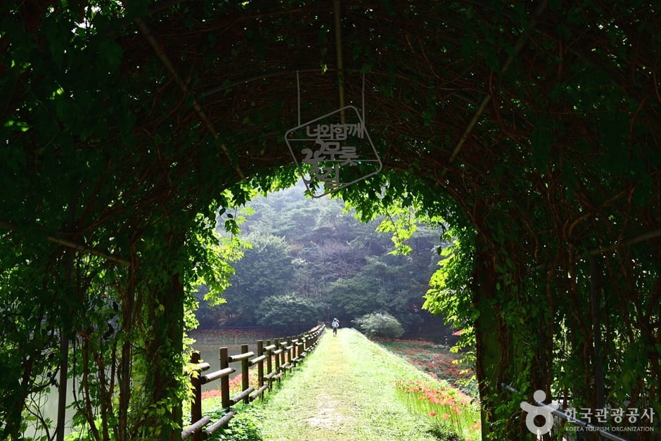 용천사 꽃무릇공원 여행 추천 - 로드트립