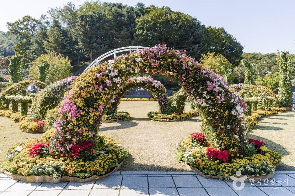 용인농촌테마파크 여행 추천 - 로드트립