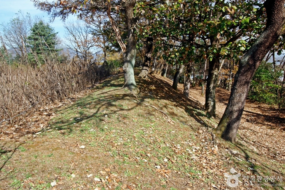 충주 견학리 토성 여행 추천 - 로드트립
