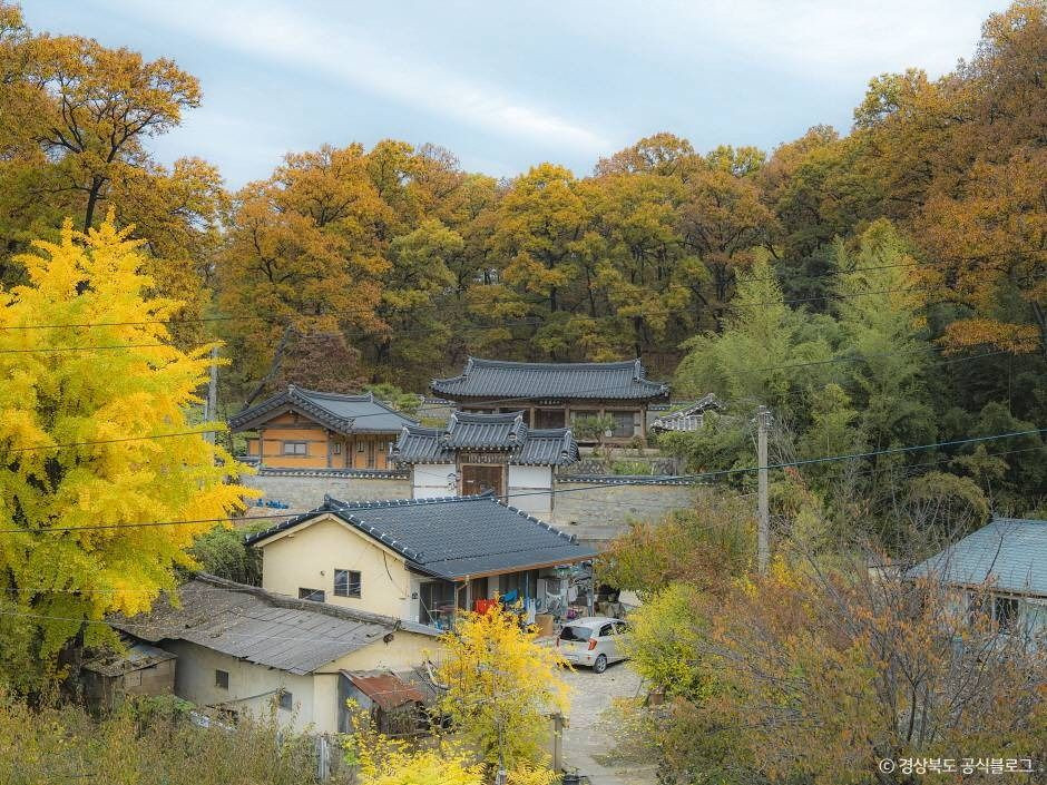 동락서원 여행 추천 - 로드트립