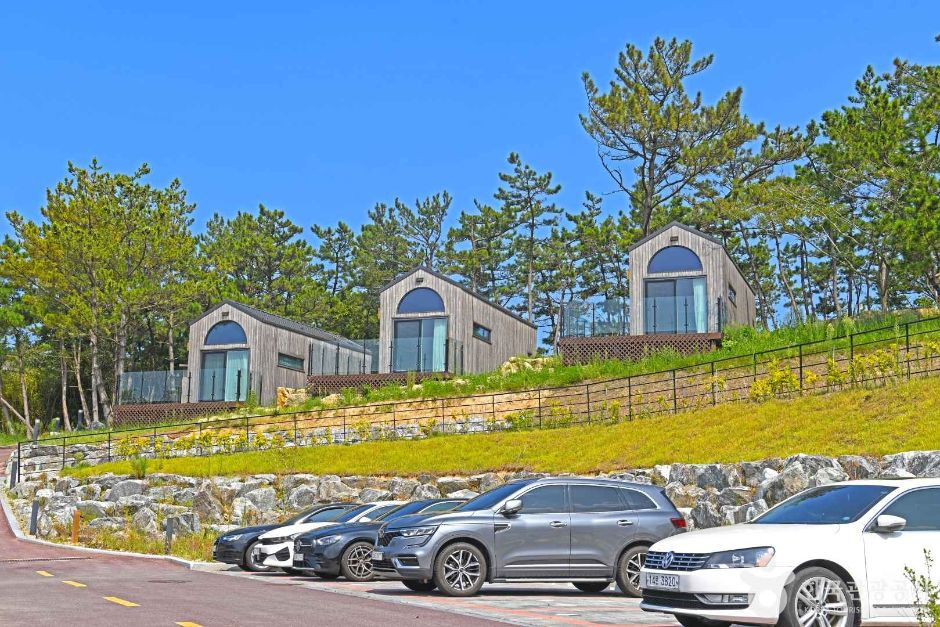 변산반도 생태탐방원 여행 추천 - 로드트립