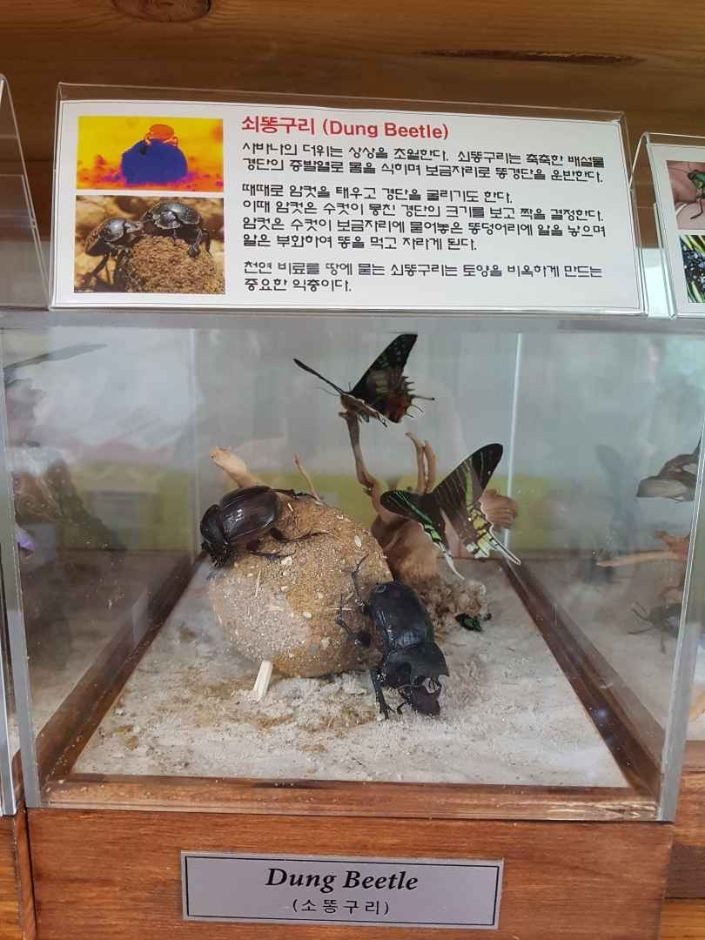 세산곤충체험농장 여행 추천 - 로드트립
