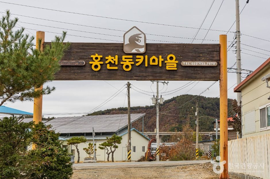 홍천동키마을 여행 추천 - 로드트립
