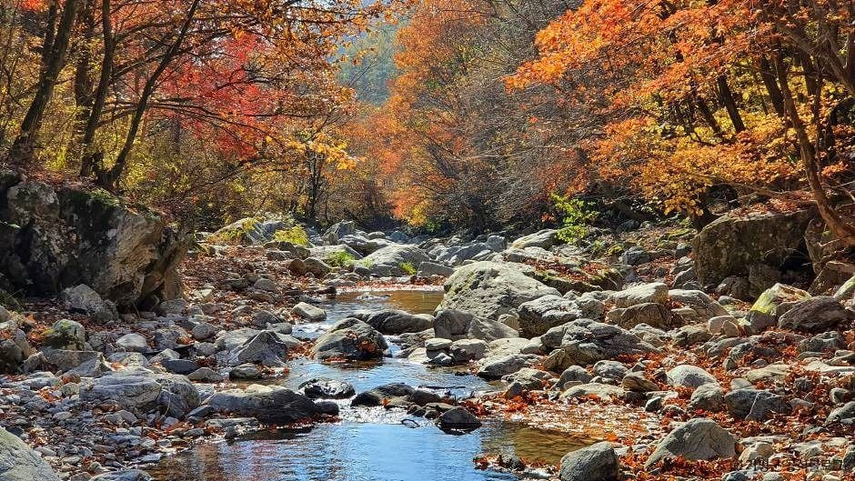 경반계곡 여행 추천 - 로드트립