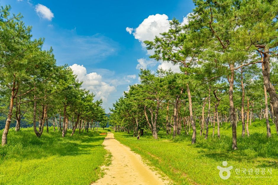 공주 고마나루 여행 추천 - 로드트립