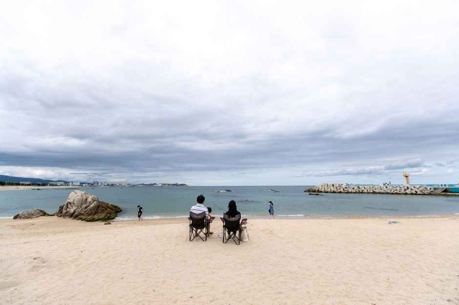영진해변 여행 추천 - 로드트립