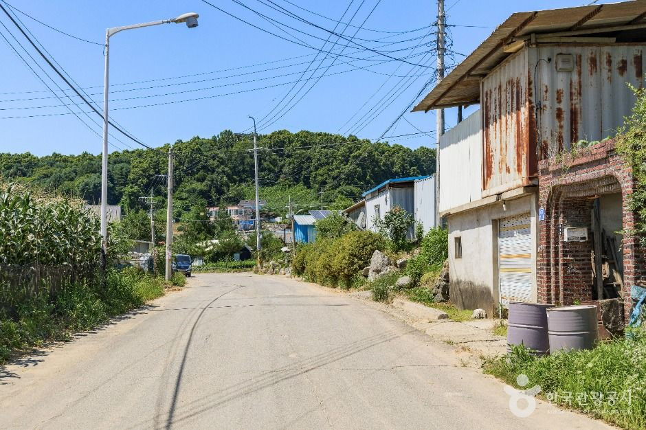 연천 나룻배마을 여행 추천 - 로드트립