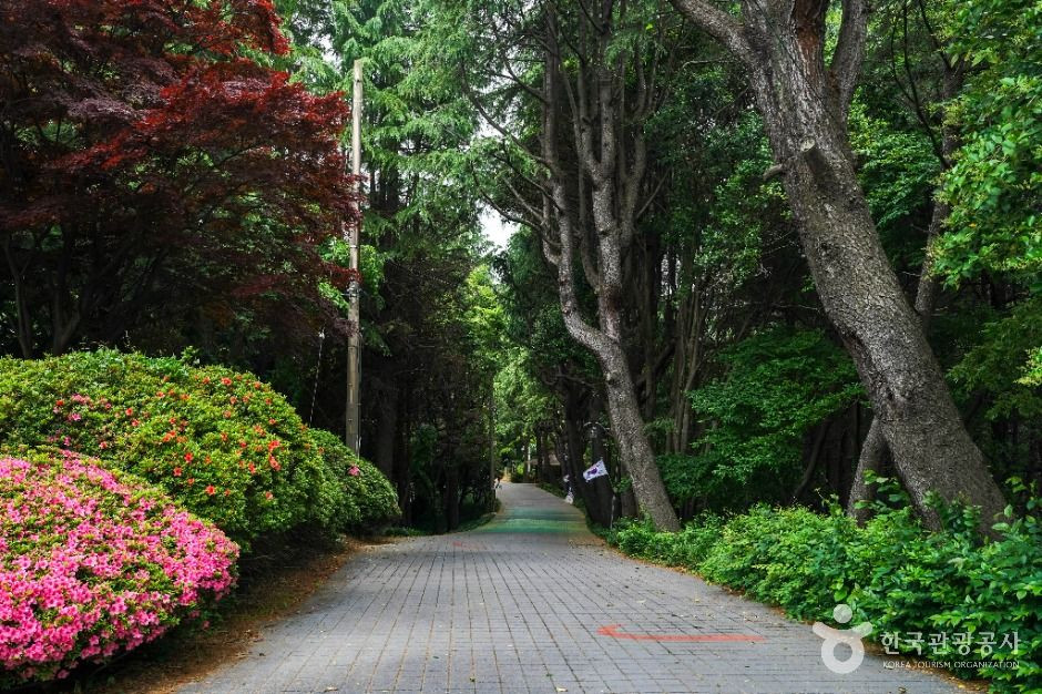 산호공원(용마공원) 시의거리 여행 추천 - 로드트립