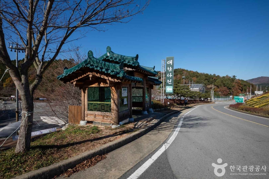 대한다원 여행 추천 - 로드트립