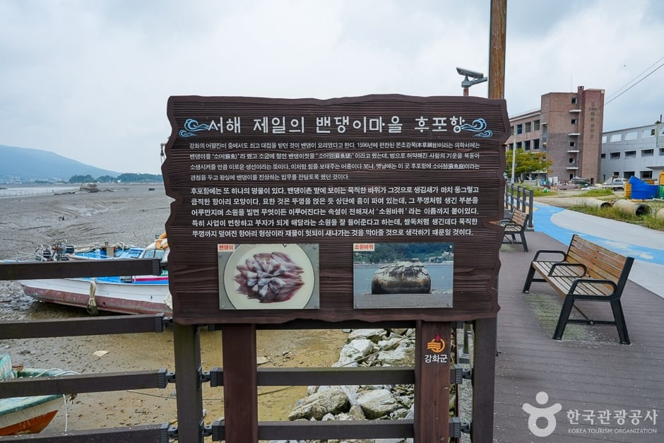 후포항 선수포구 여행 추천 - 로드트립