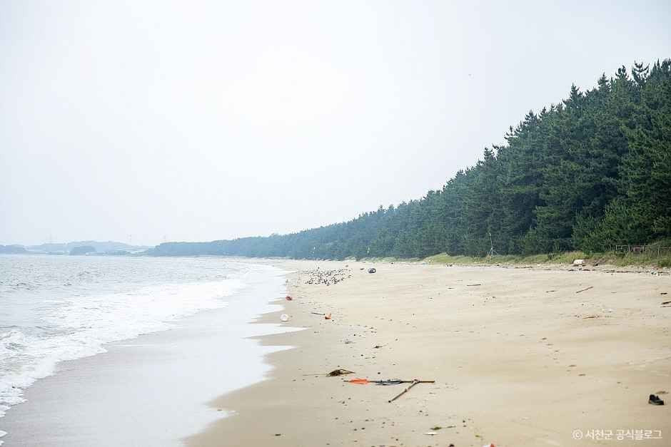 띠섬목해변 여행 추천 - 로드트립