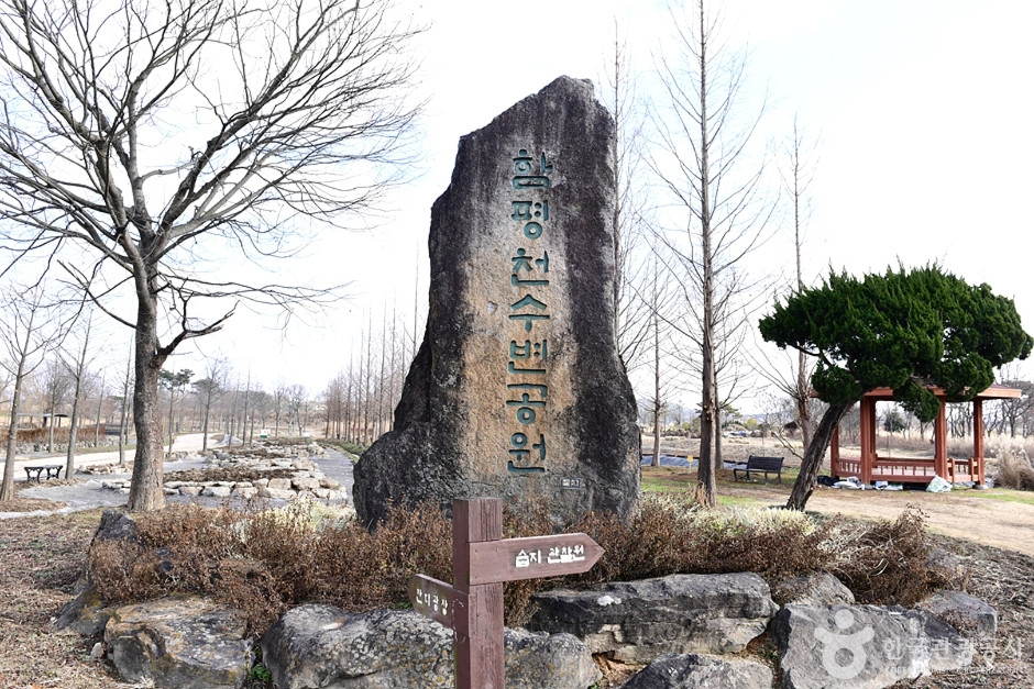 함평천수변공원 여행 추천 - 로드트립