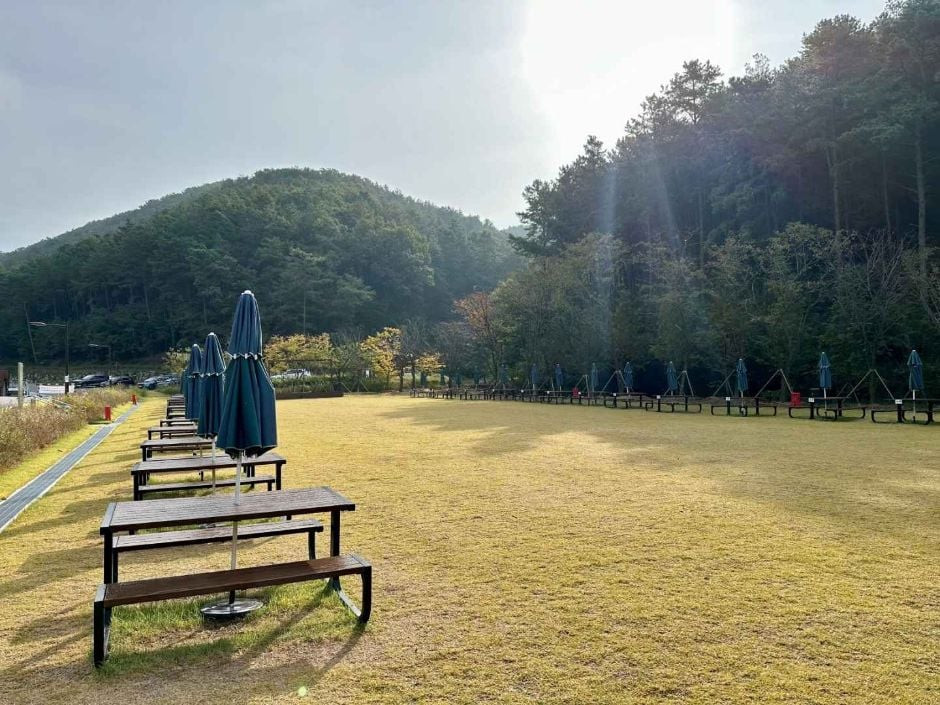 무봉산 자연휴양림 여행 추천 - 로드트립