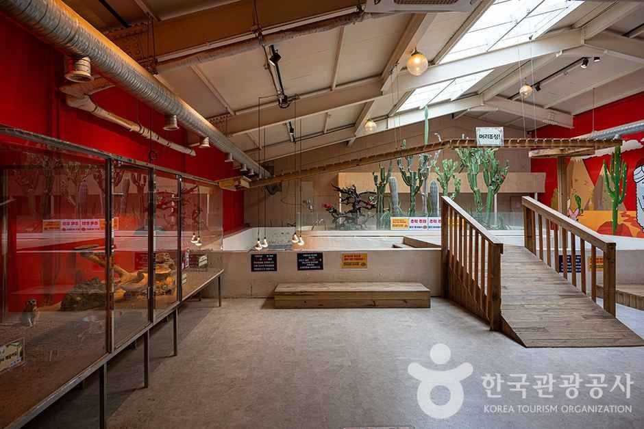 쥬쥬랜드 여행 추천 - 로드트립