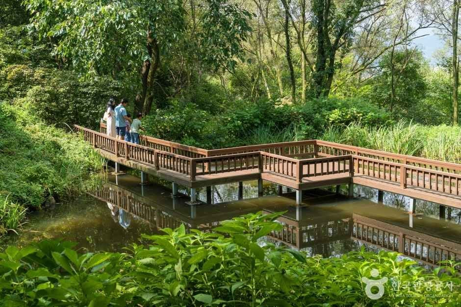 용인자연휴양림 여행 추천 - 로드트립