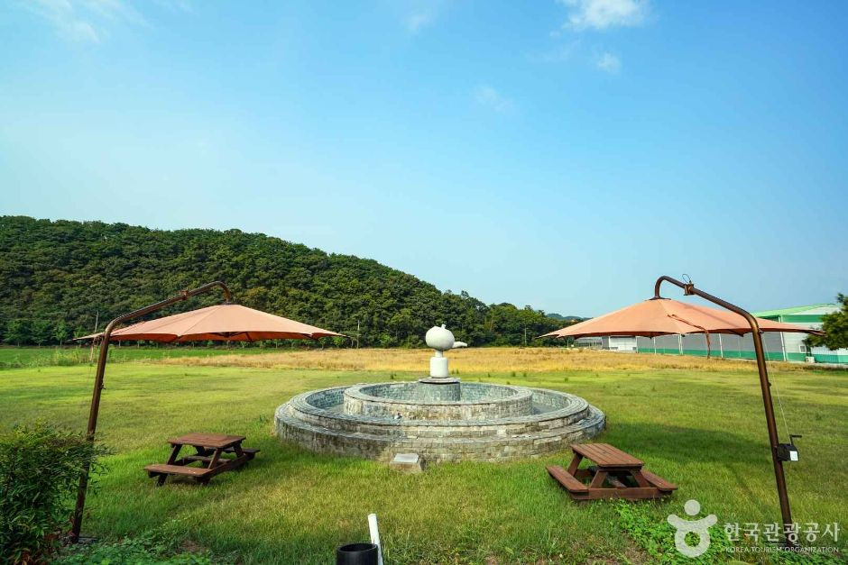 사천녹차단지 여행 추천 - 로드트립