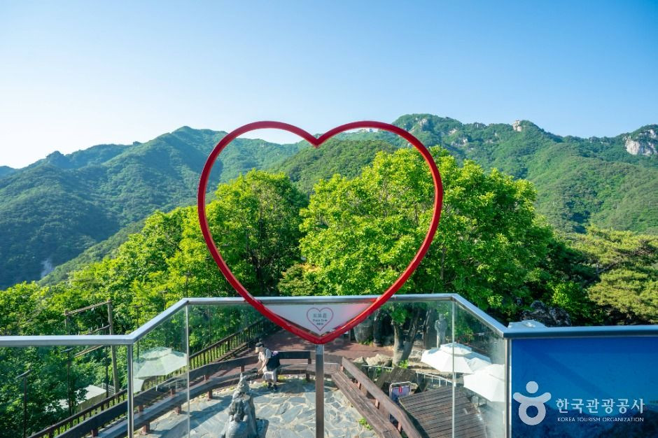 팔공산 케이블카 여행 추천 - 로드트립