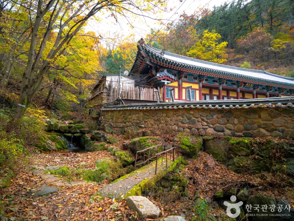 안일사(대구) 여행 추천 - 로드트립