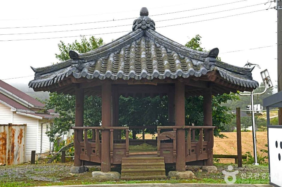 고랭지만두마을 여행 추천 - 로드트립