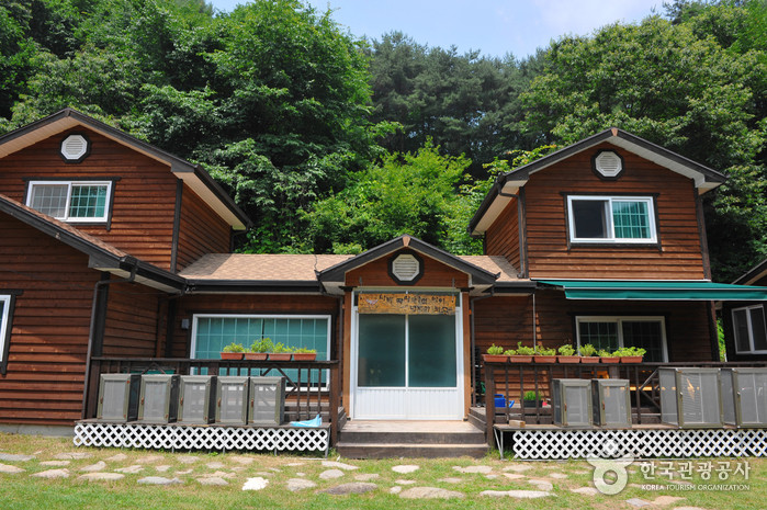 홀로세 생태학교 여행 추천 - 로드트립