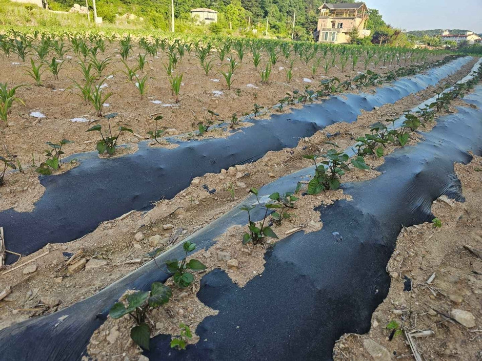 가평 아홉마지기마을 여행 추천 - 로드트립