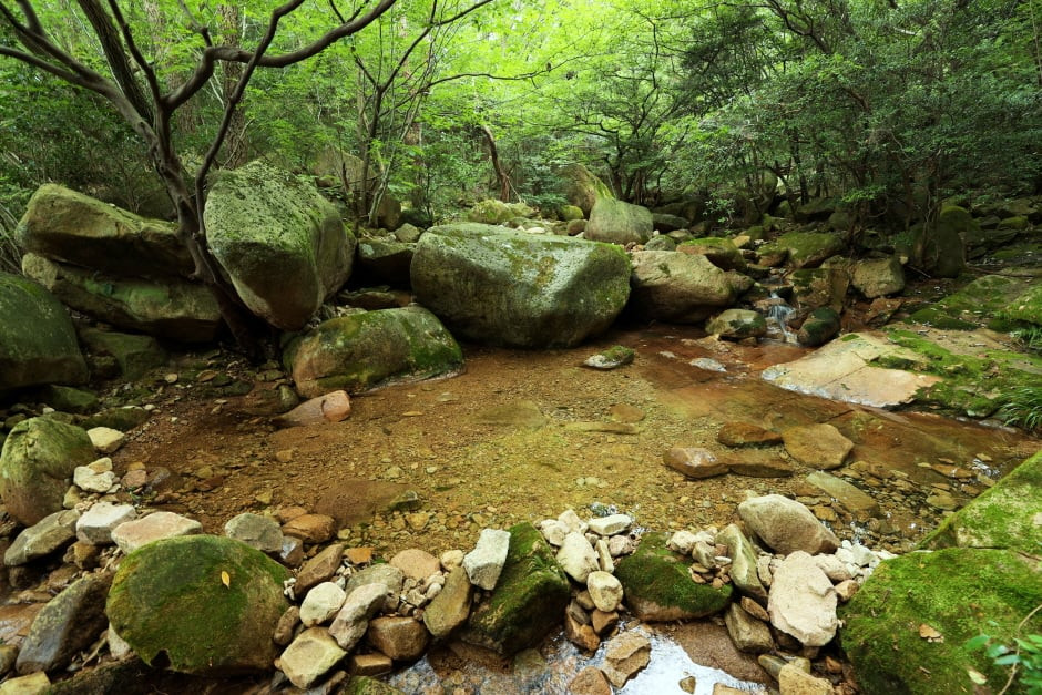 월출산국립공원 경포대지구 여행 추천 - 로드트립